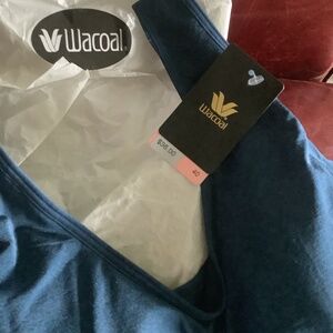 Wacoal new size 40 blue bra removal pads .